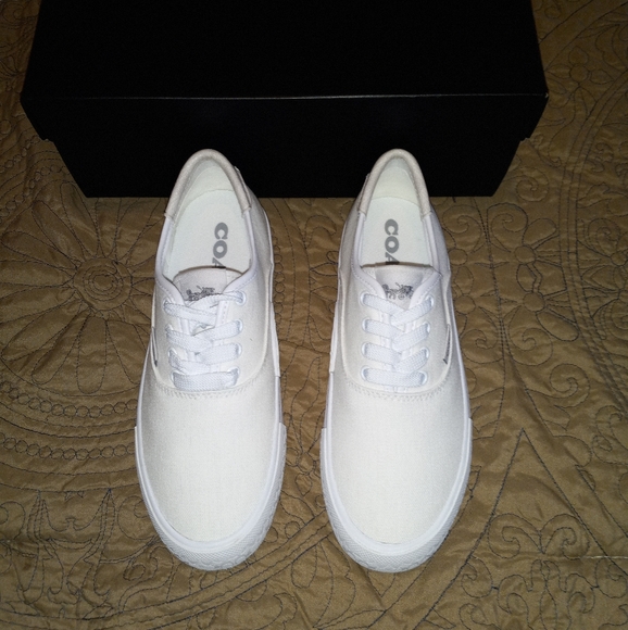 Coach CitySole Skate Sneakers - Picture 3 of 14